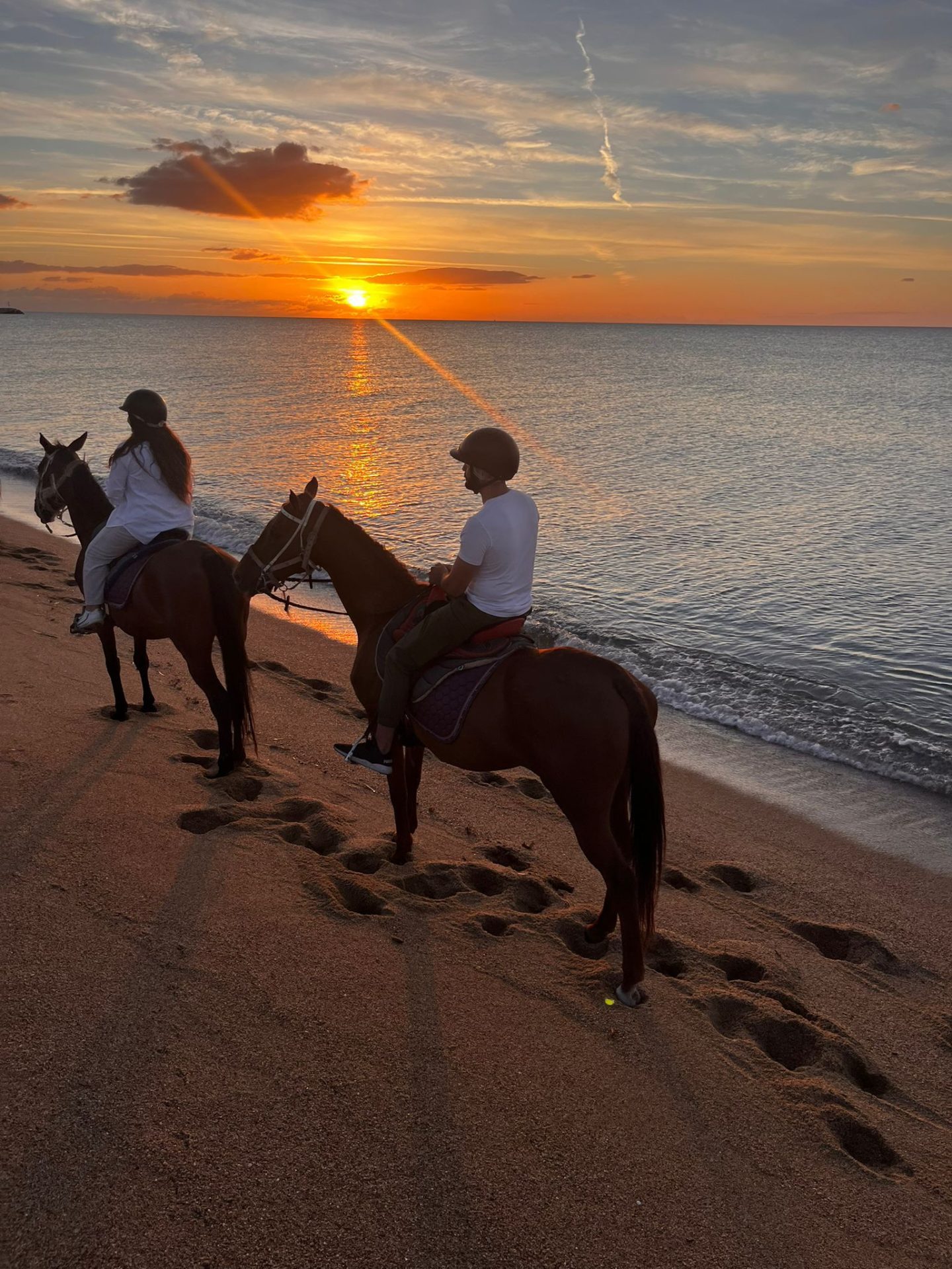 WhatsApp Image 2026-02-12 at 10.11.27