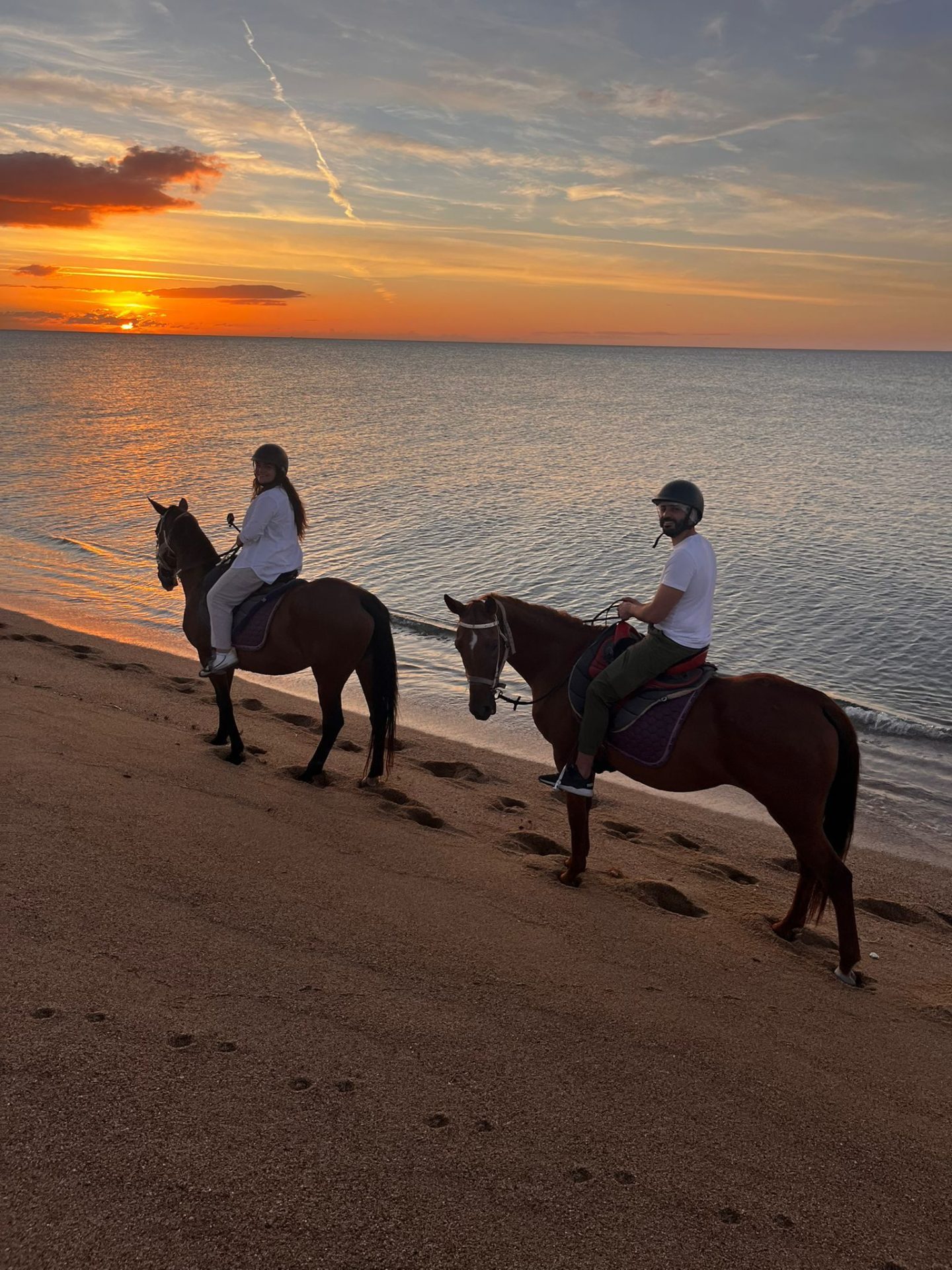 WhatsApp Image 2026-02-12 at 10.11.28