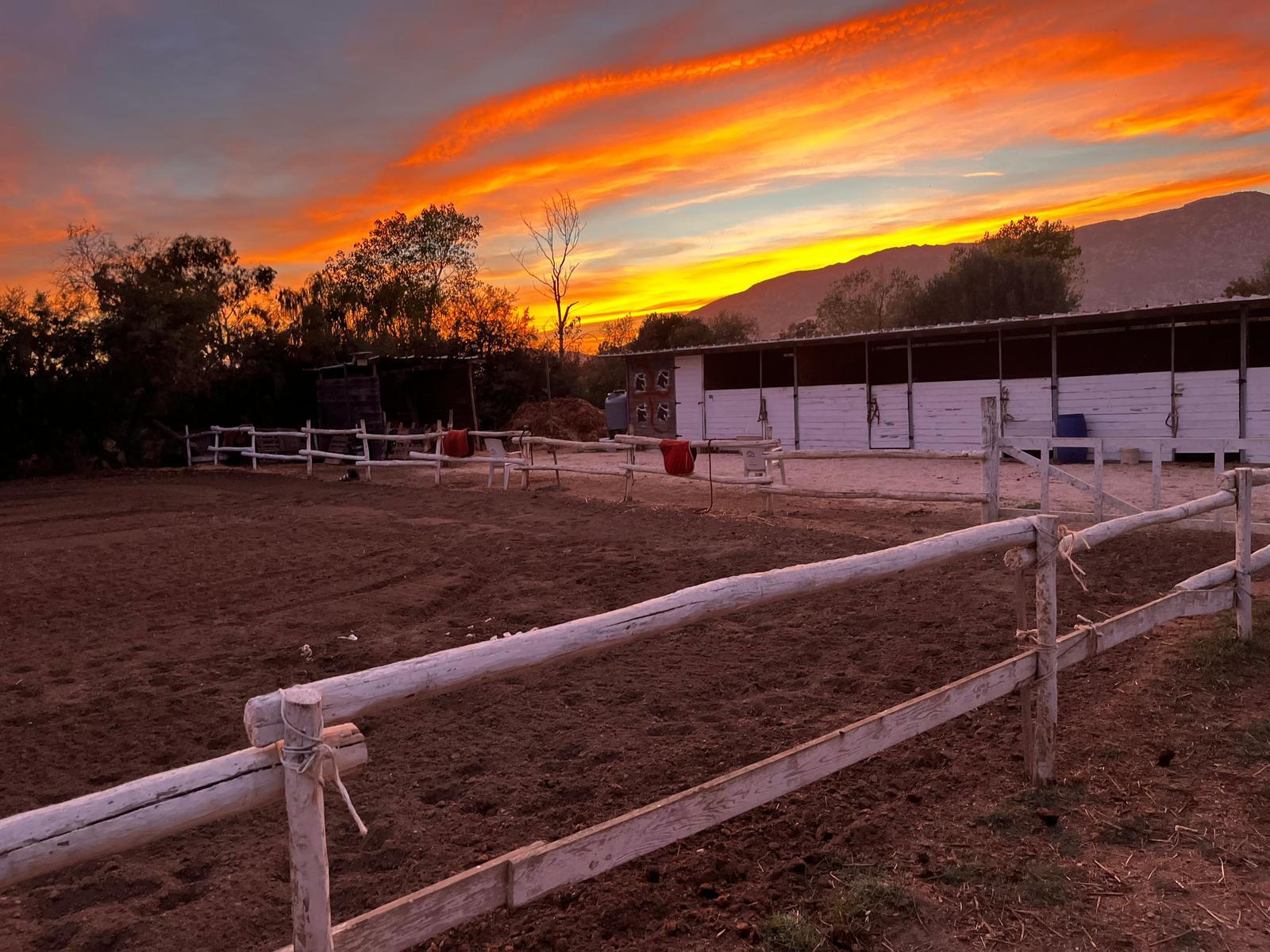 21529a41-9787-48b7-9be7-f61e3ef8d687