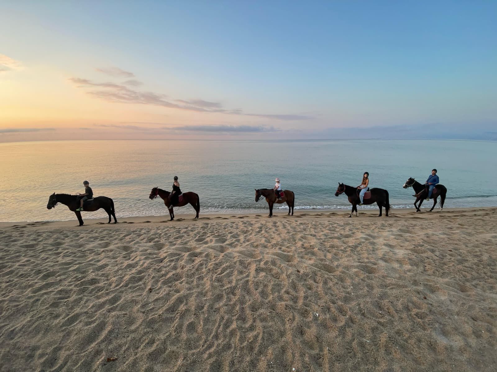 63d8300c-298b-4fc9-8e51-620150c49467