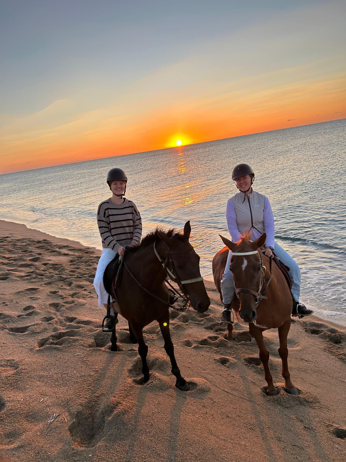 c5c91d0c-9266-4108-97c0-d6aa1b76c0a7