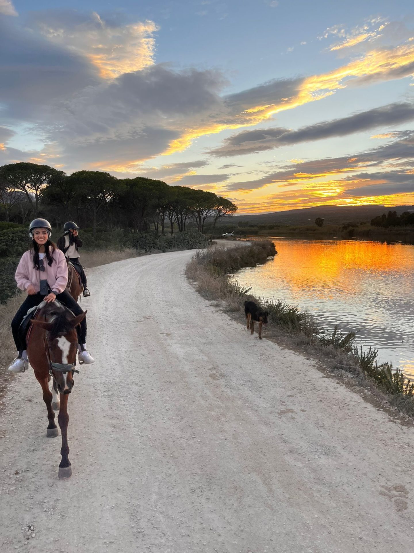 d71ee3d3-e6bd-4b90-8695-e597685a1ebc – Copy